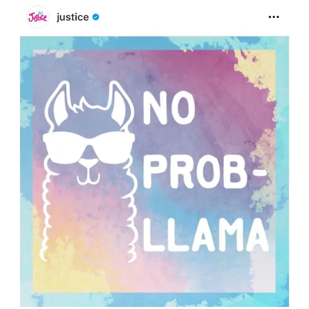 Justice Dog Costume